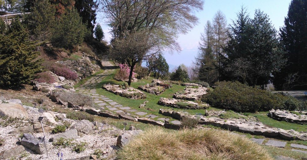 Garden Alpinia in Alpino, Italy